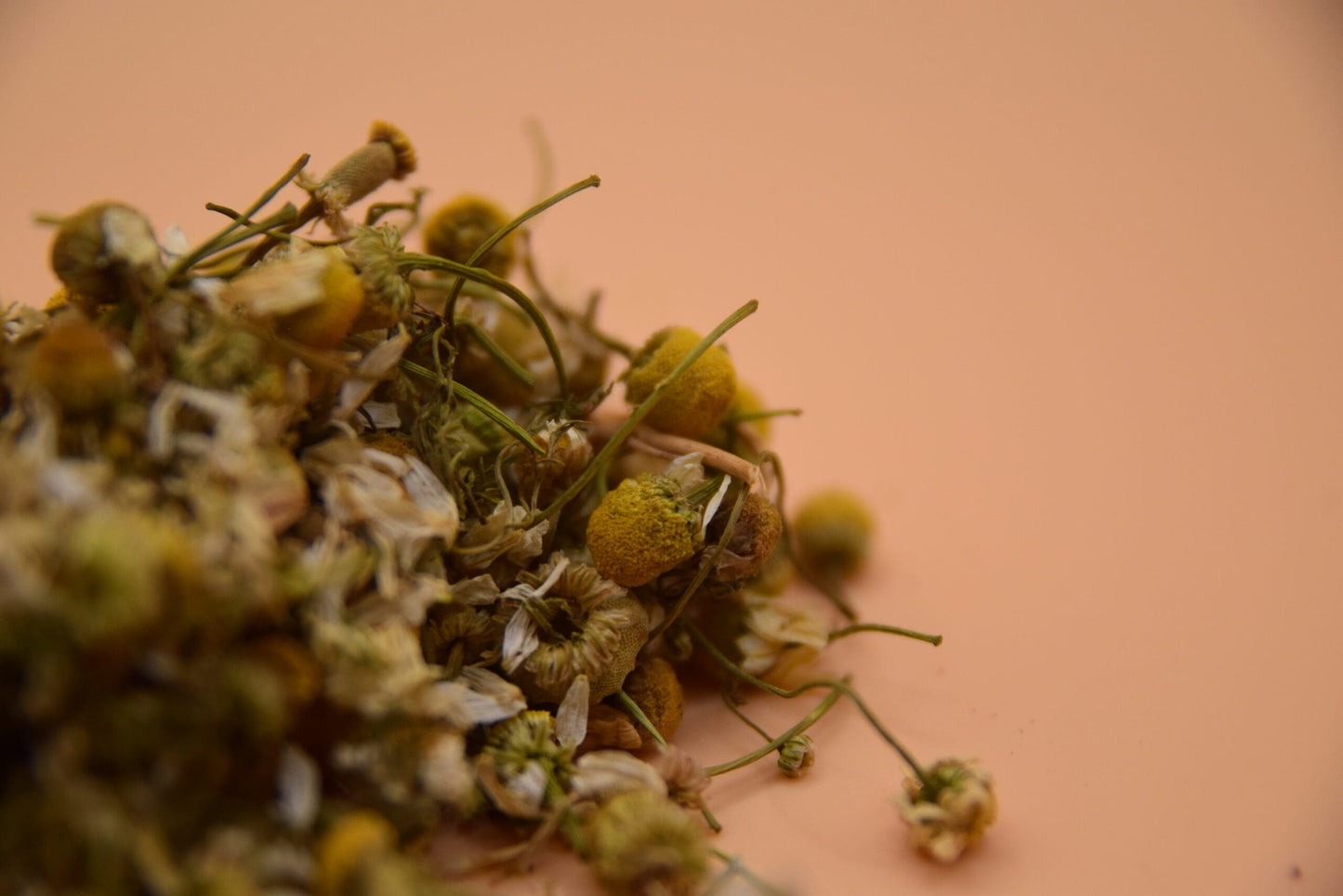 Chamomile Flowers image 2