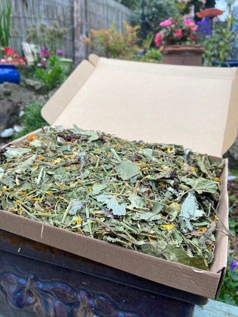Ultimate Forage Box image 2