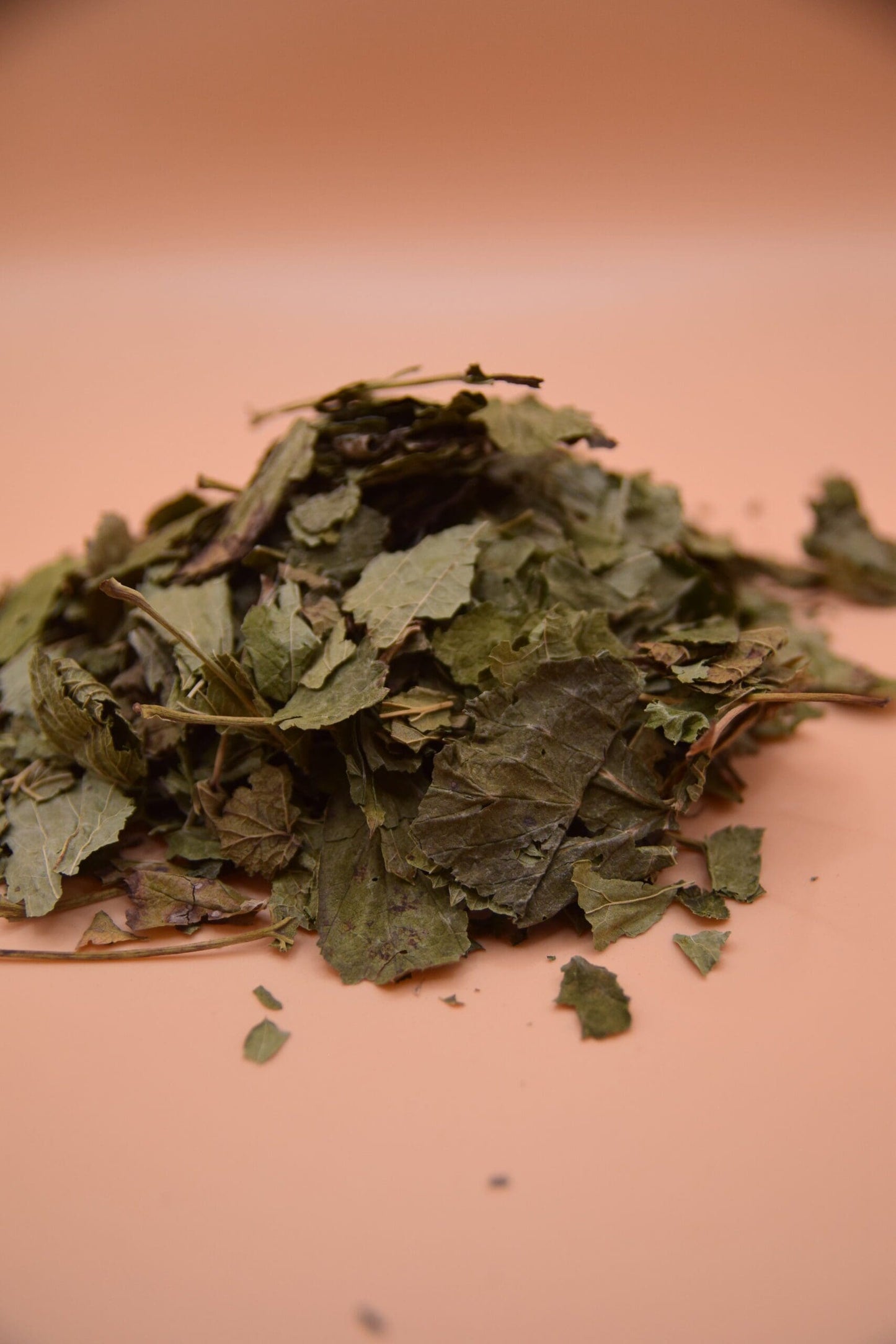 Plantain image 1