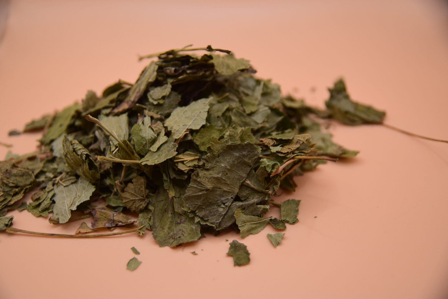 Blackcurrant Leaves image 3
