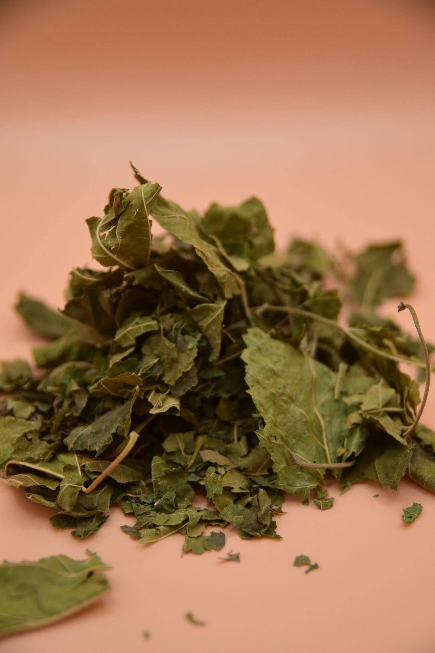Mulberry Leaves image 4