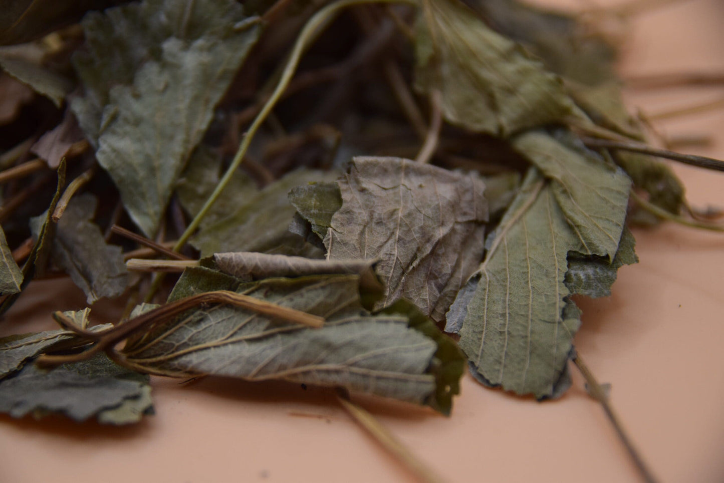 Strawberry Leaves image 2