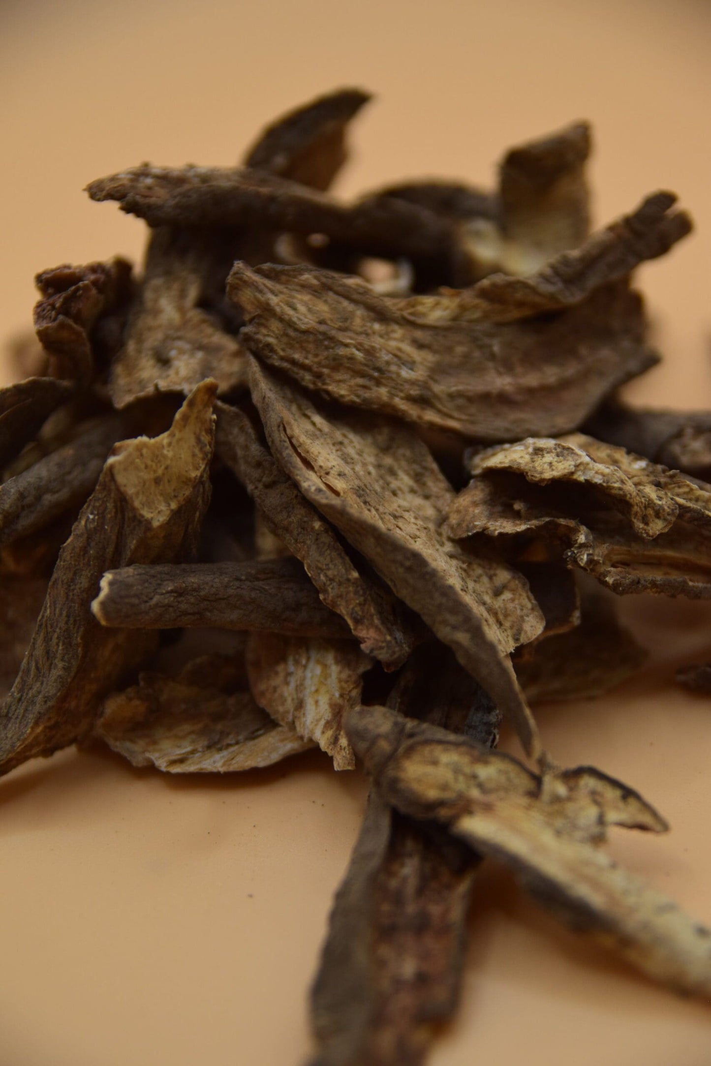Burdock Root image 2