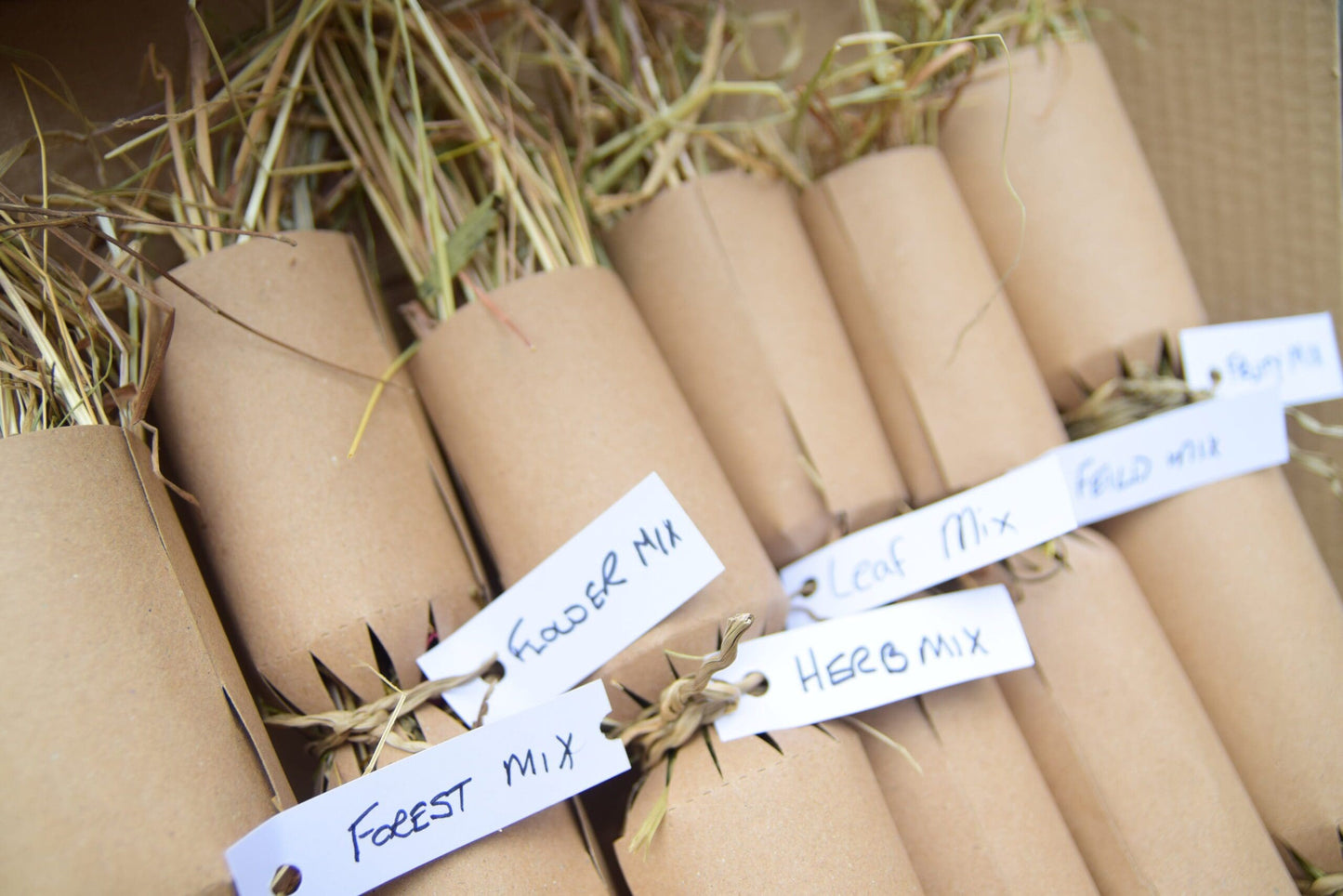 Christmas Cracker - Large image 7