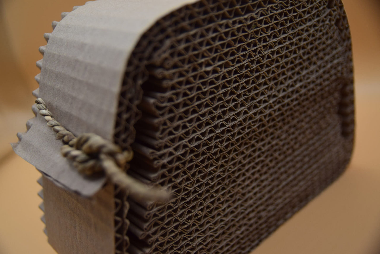 Natural Compressed Cardboard Chew Block image 2