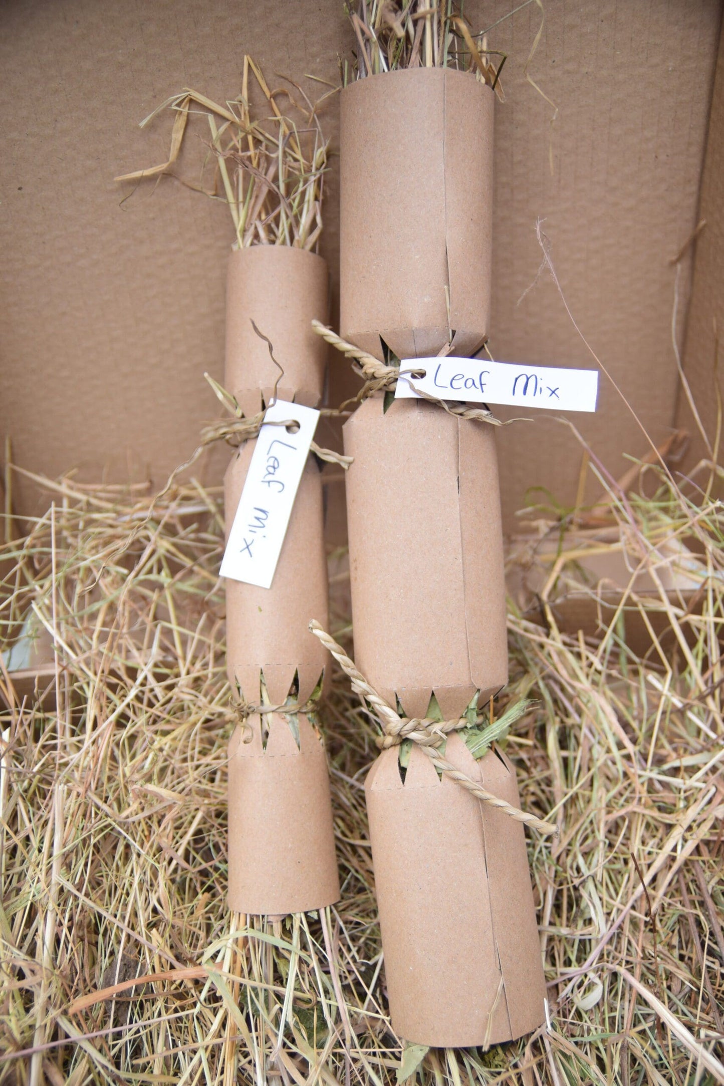 Christmas Cracker - Large image 0