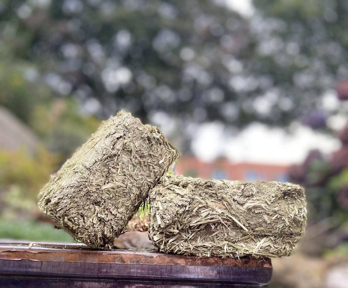 1kg Alfalfa Hay Block image 2