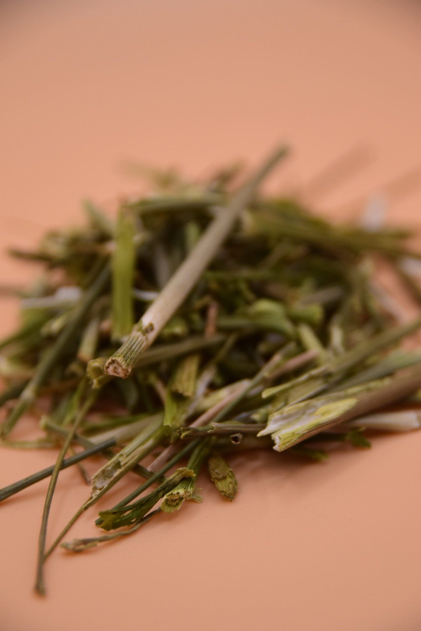 Dill Stalks image 1