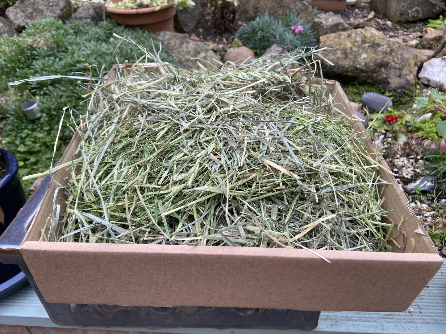 Ultimate Grass Box image 4