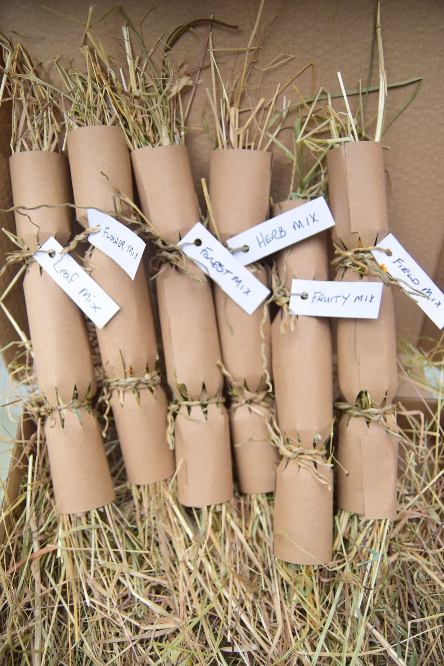 6 x Christmas Cracker - Small image 0