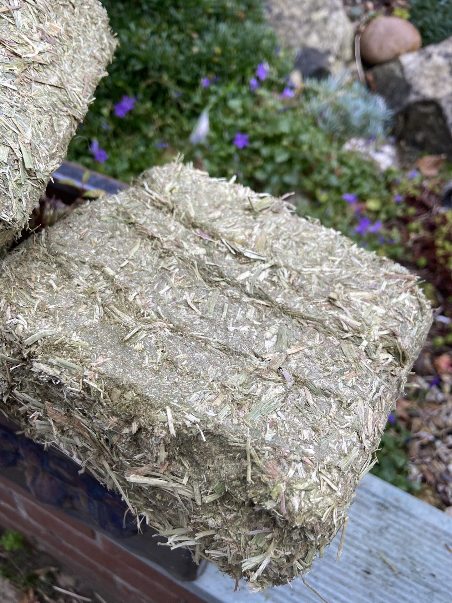 1kg Alfalfa Hay Block image 1
