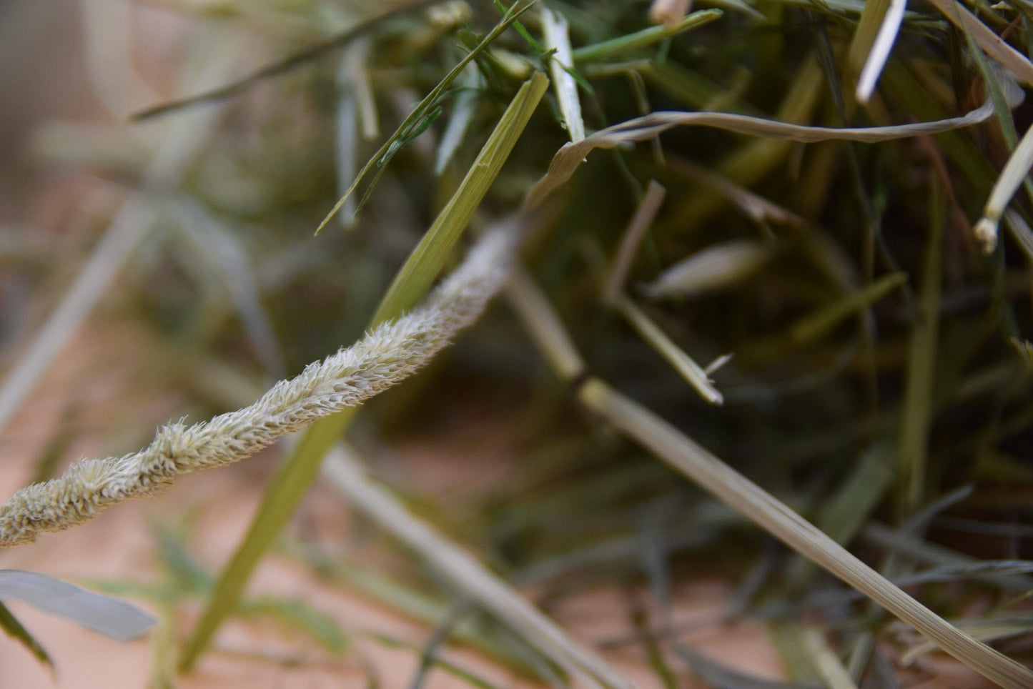 Ultimate Hay Box image 9