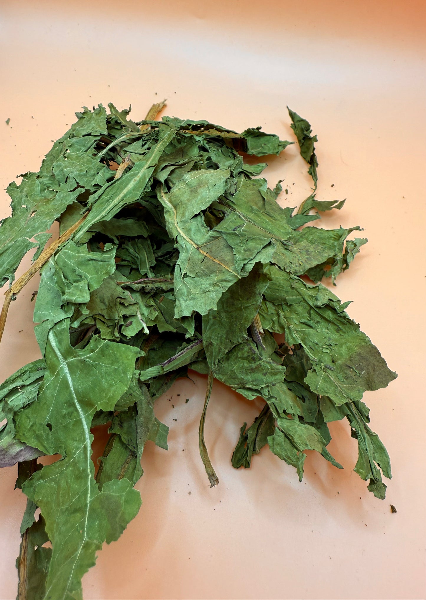 Dandelion Leaves - Reseal