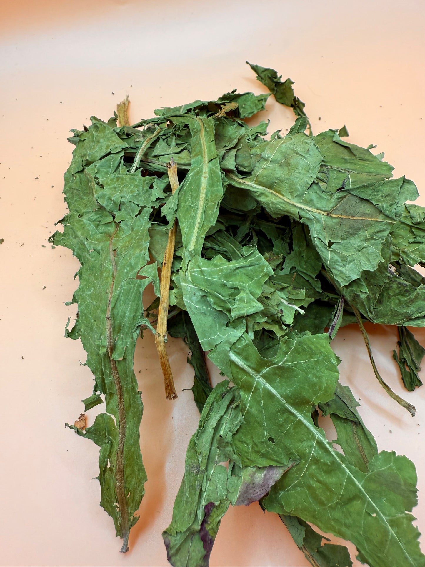 Dandelion Leaves - Reseal