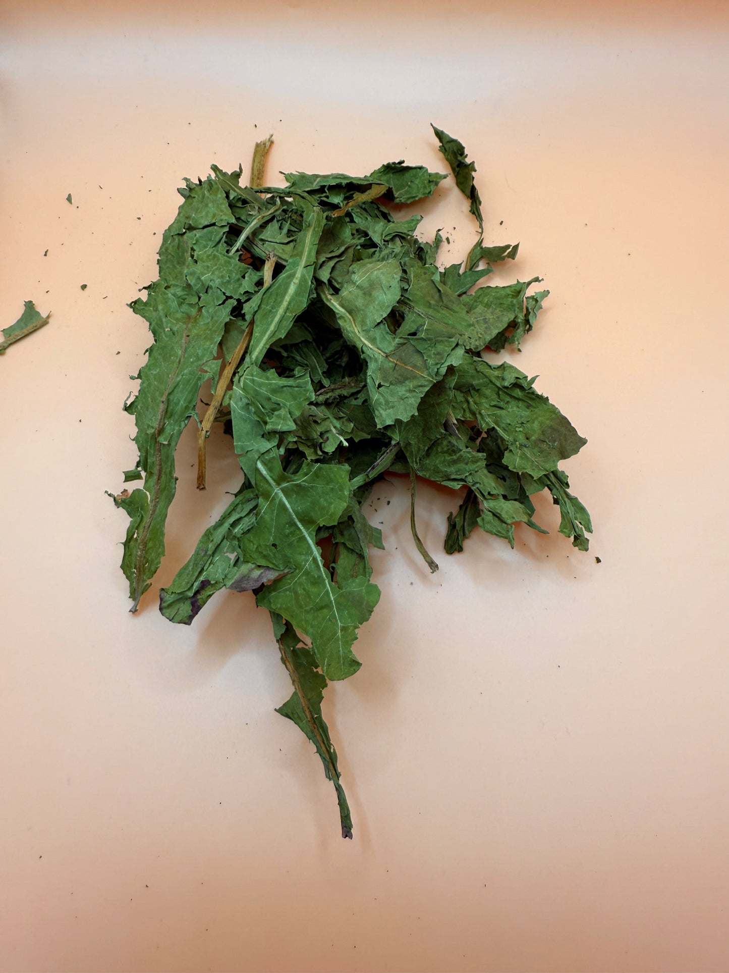 Dandelion Leaves - Reseal