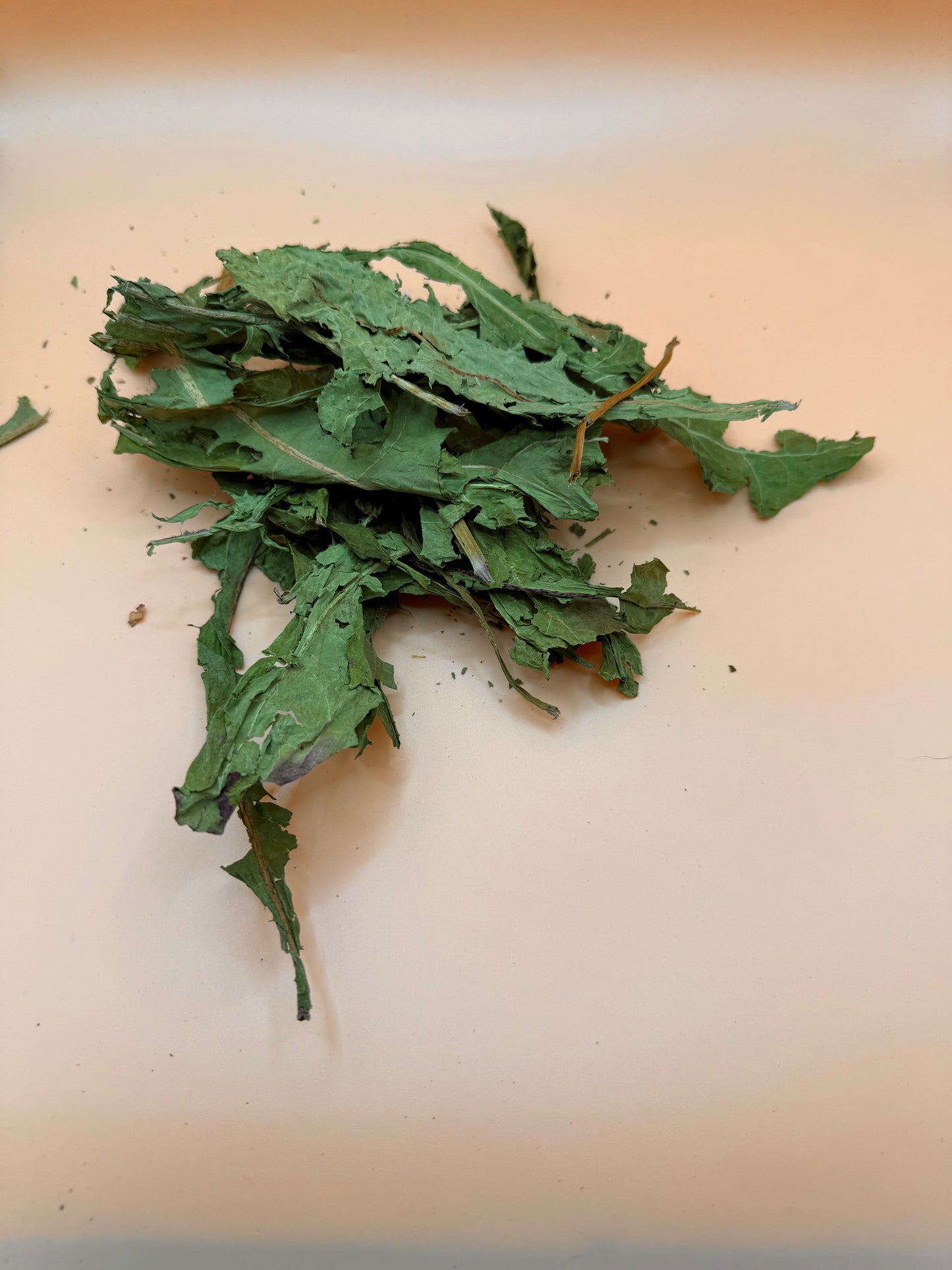 Dandelion Leaves - Reseal