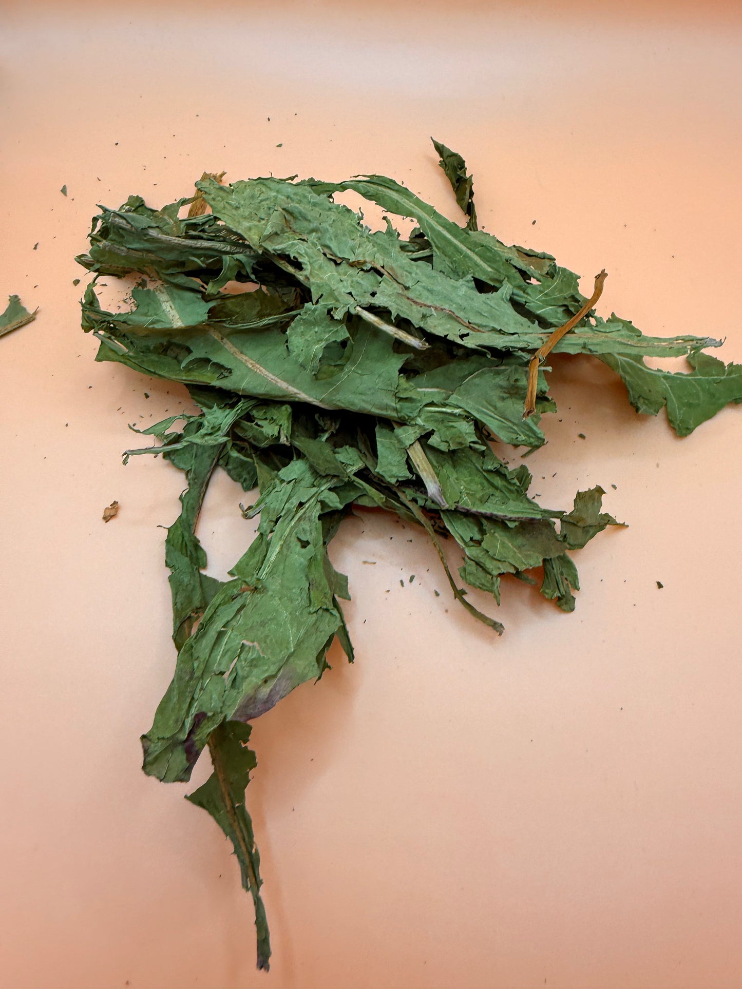 Dandelion Leaves - Reseal