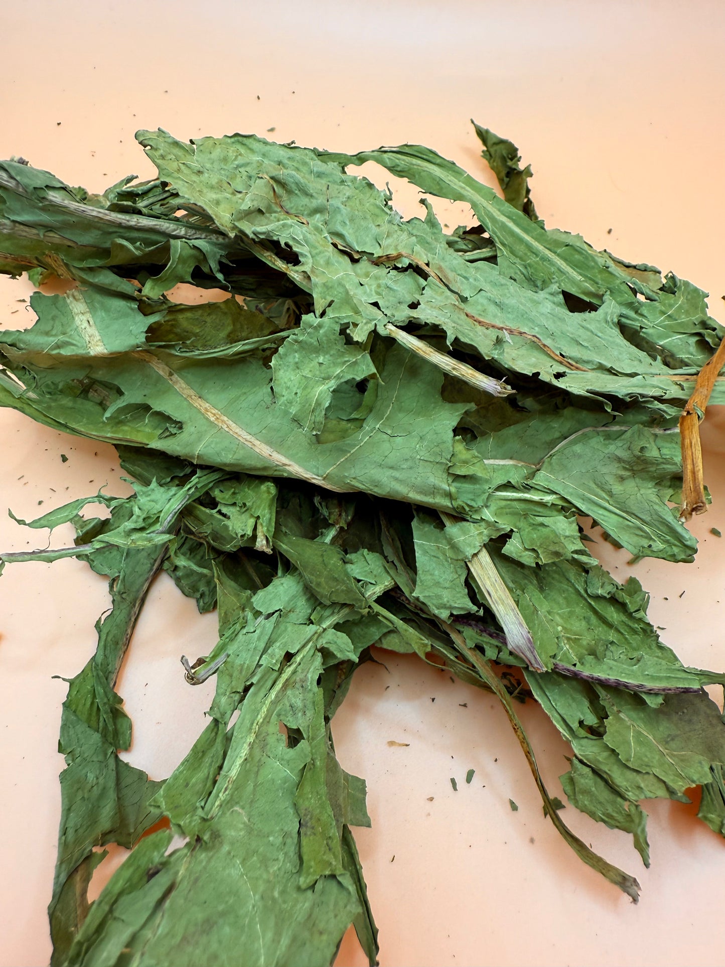 Dandelion Leaves - Reseal