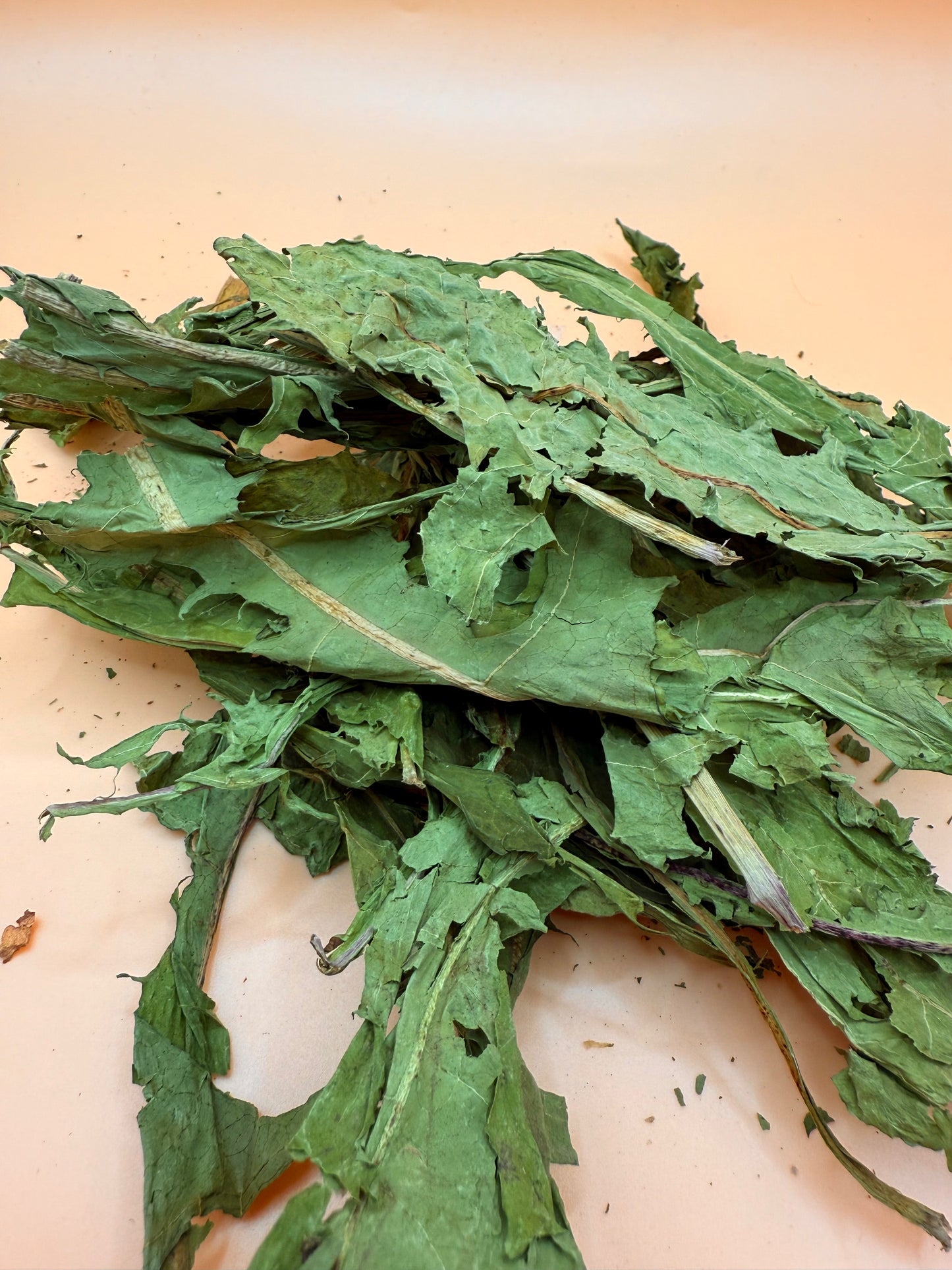 Dandelion Leaves - Reseal