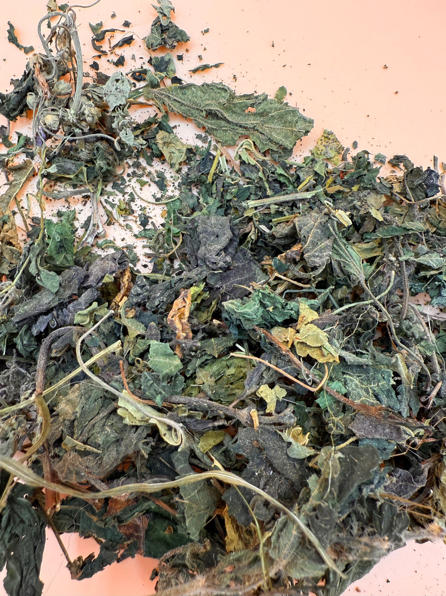 Nettle Leaves - Reseal