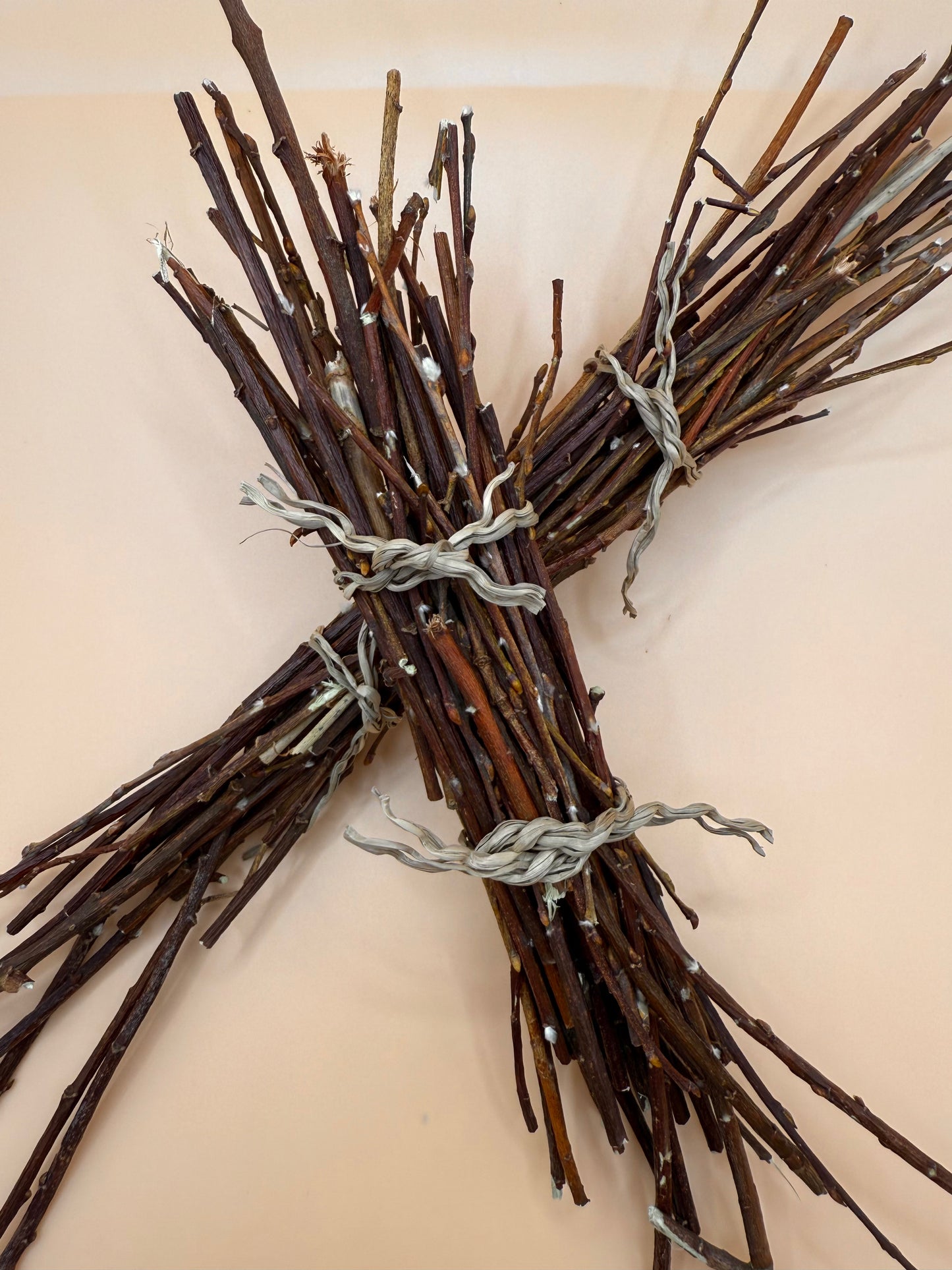 Willow Twig Bunch