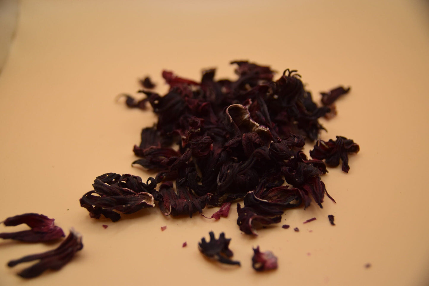 Hibiscus Flowers image 4