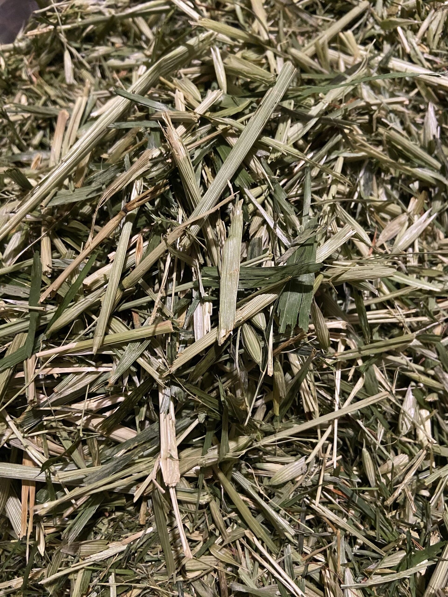 Green Oats image 1