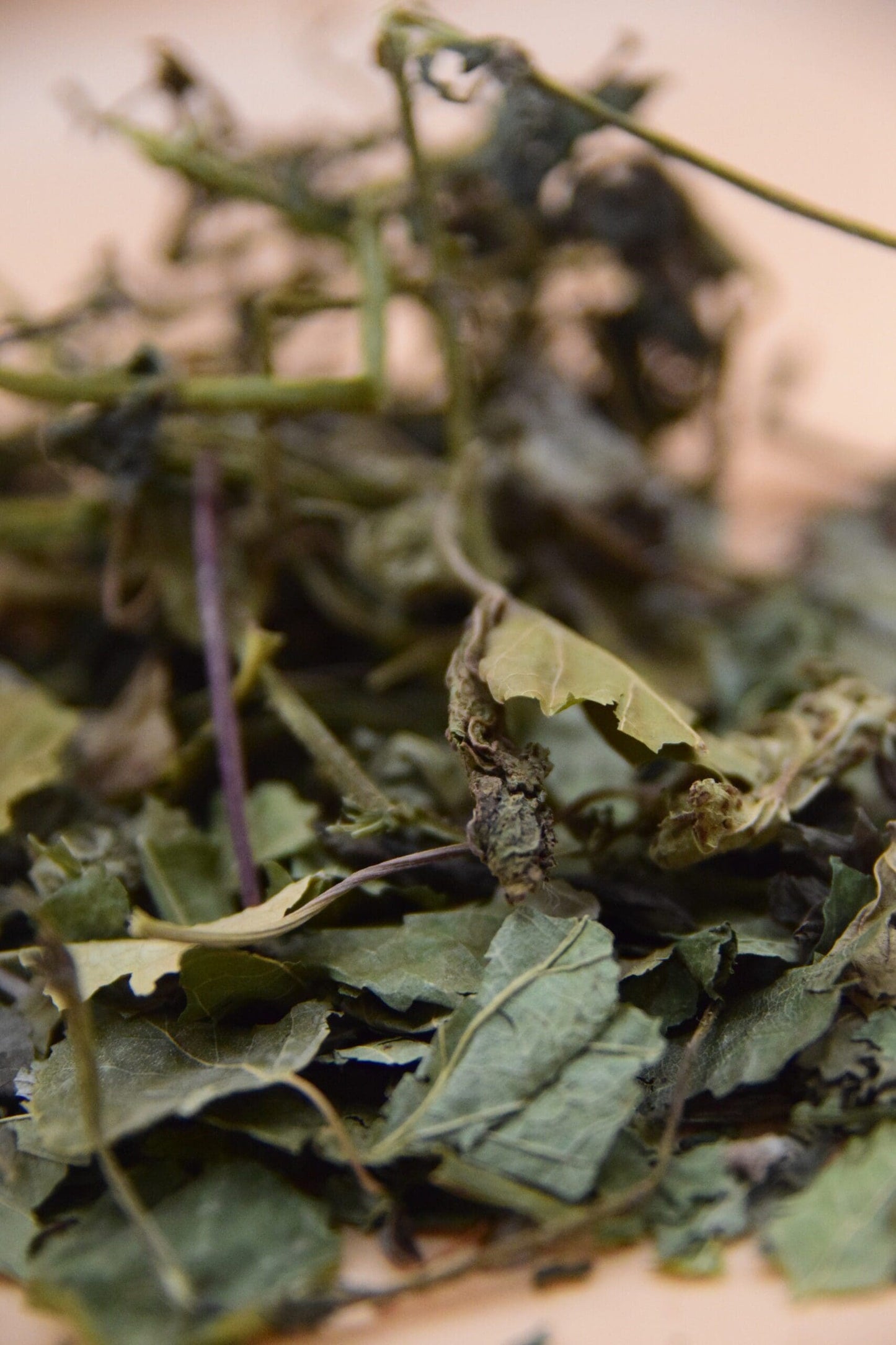 Leaf Mix image 5