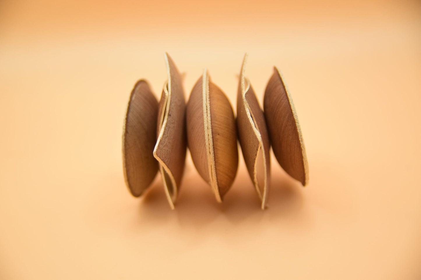 Space Saucer Palm Leaf Toy image 2
