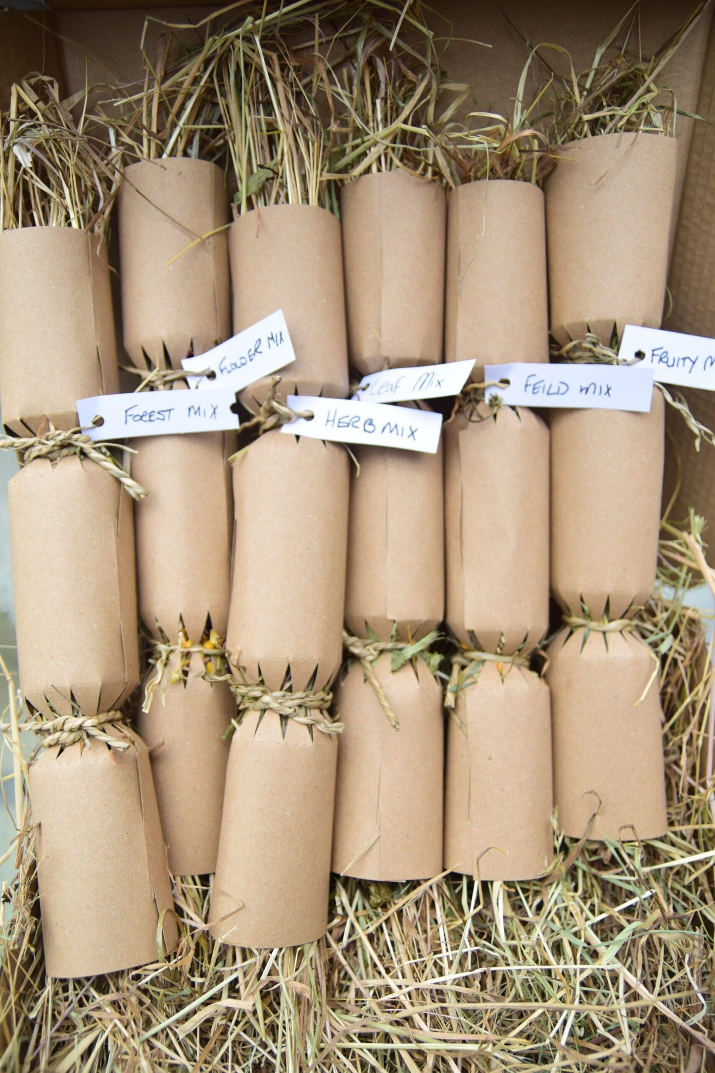 6 x Christmas Cracker - Large image 0