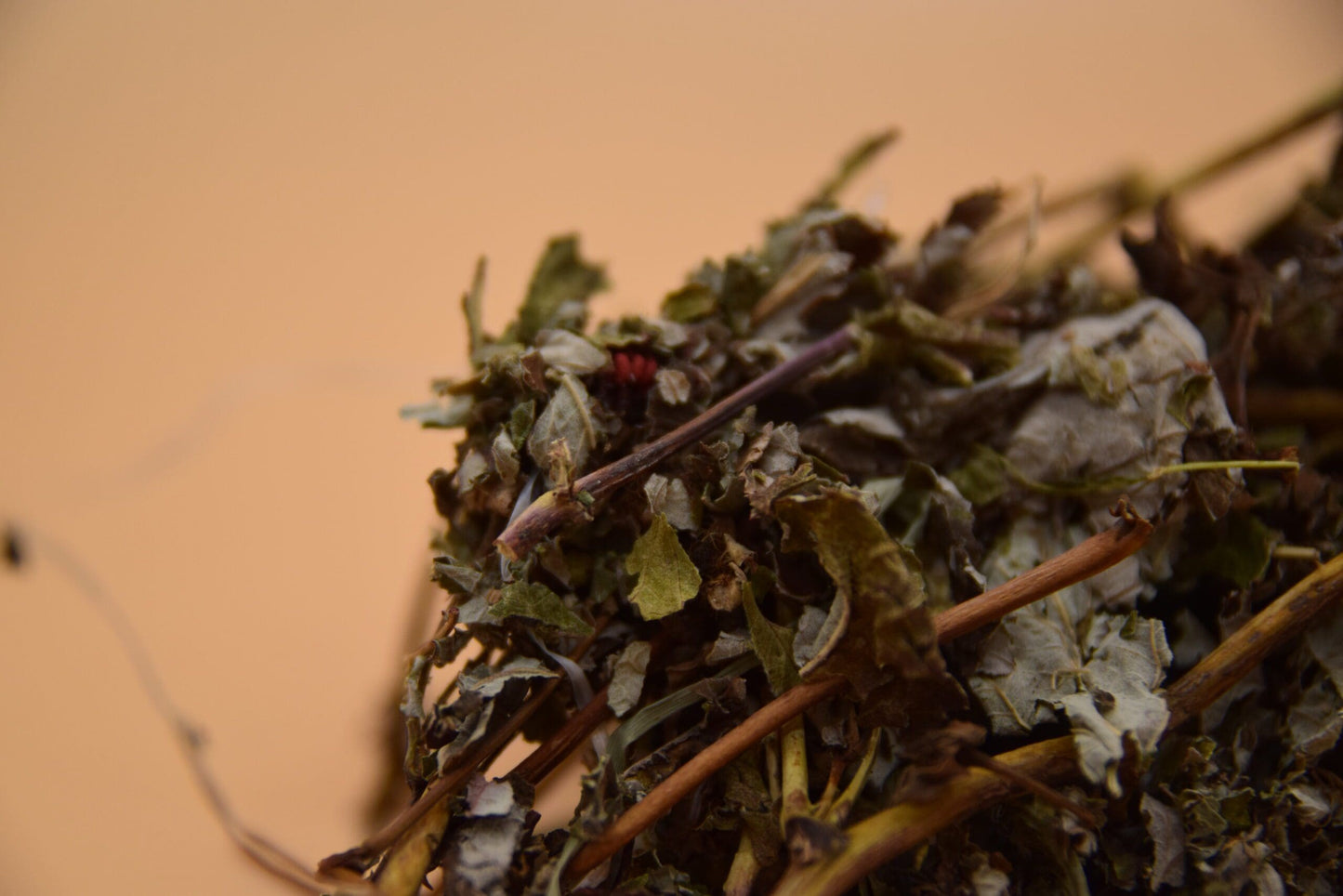 Raspberry Leaves image 1