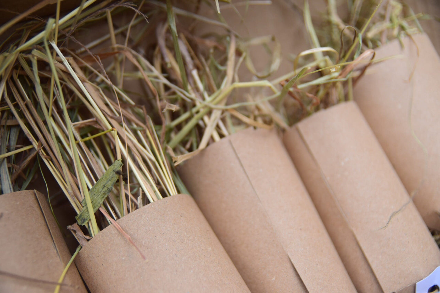 Christmas Cracker - Small image 8