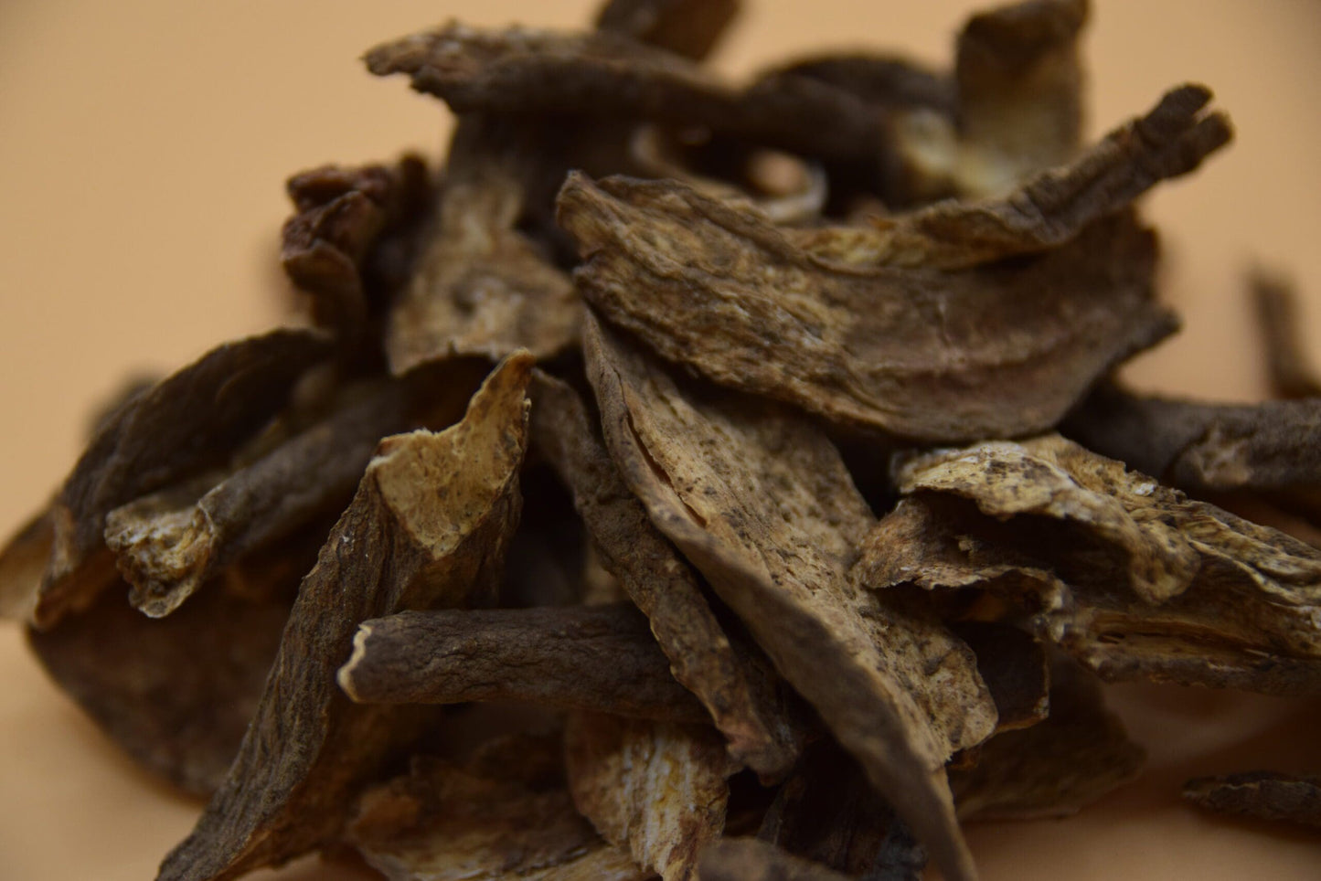 Burdock Root image 1