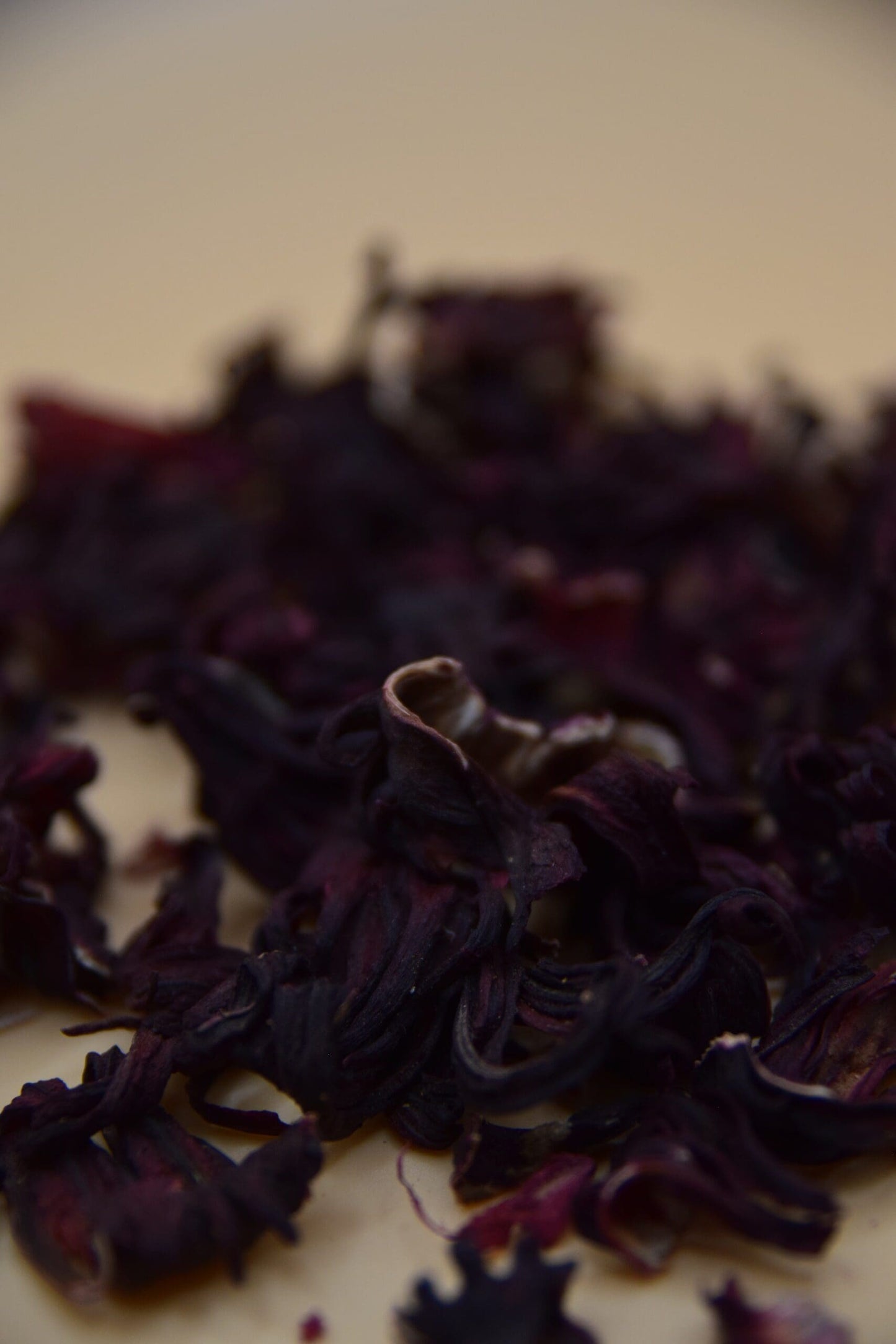 Hibiscus Flowers image 1