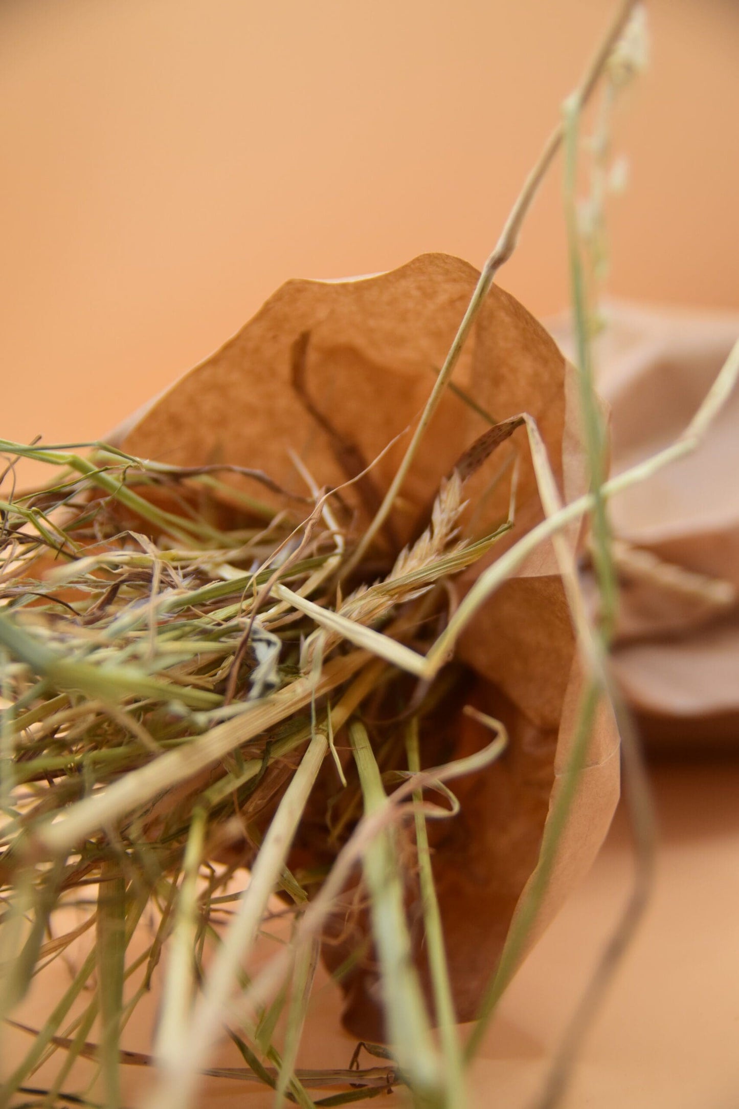 Forage & Chew Bouquet image 1