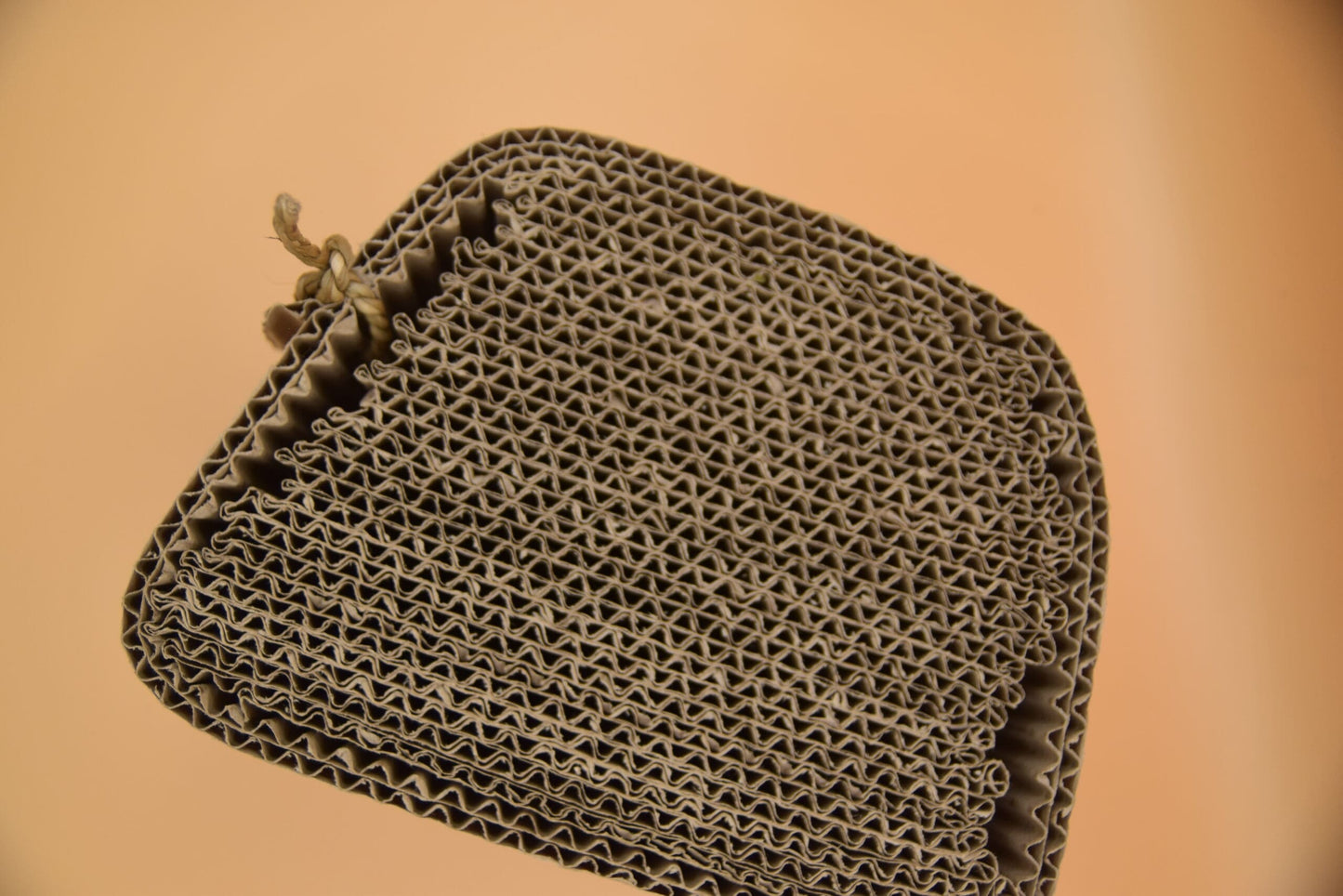 Natural Compressed Cardboard Chew Block image 3