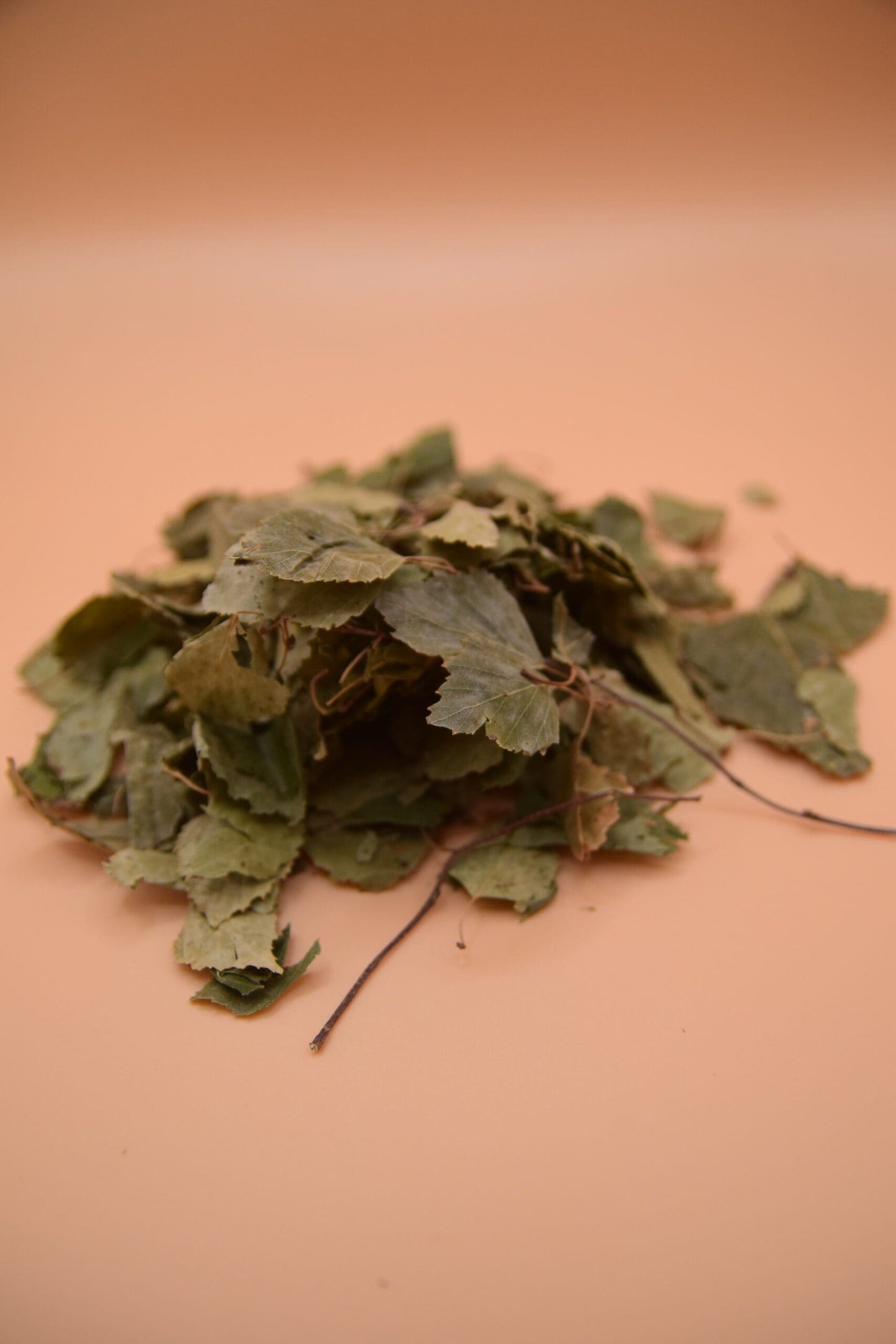 Birch Leaves image 1