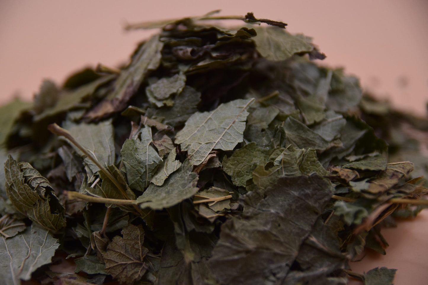 Blackcurrant Leaves image 2