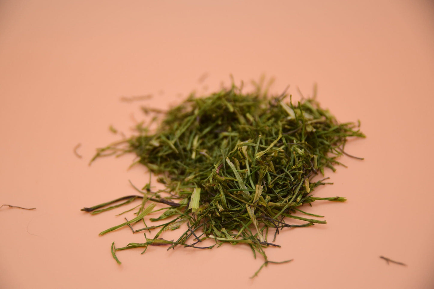 Coriander image 1