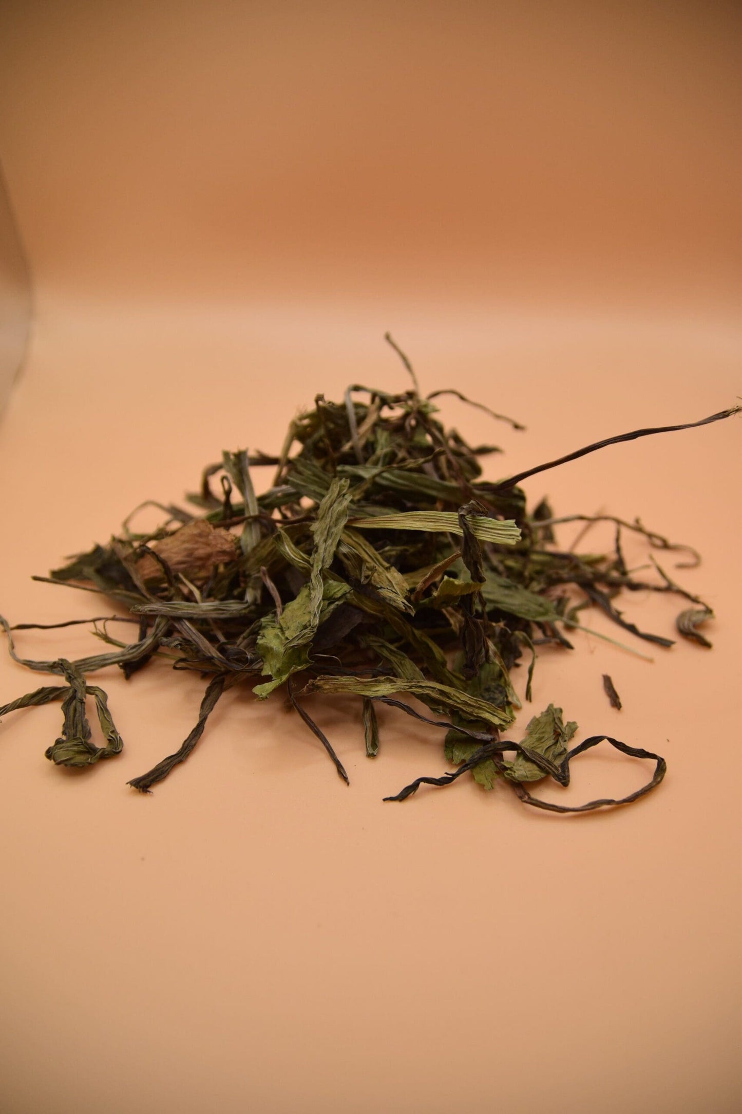 Plantain image 4