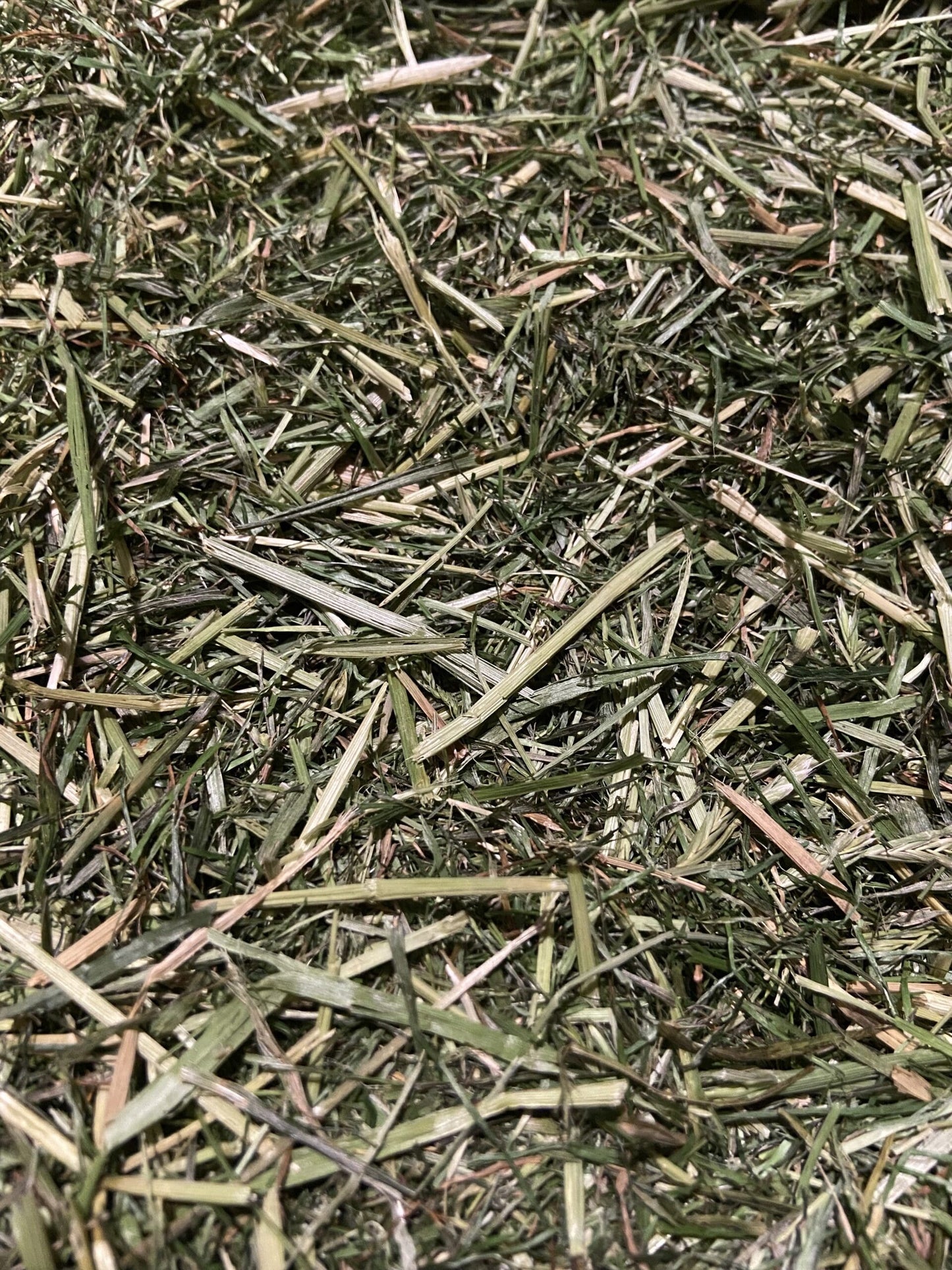 Readigrass image 0