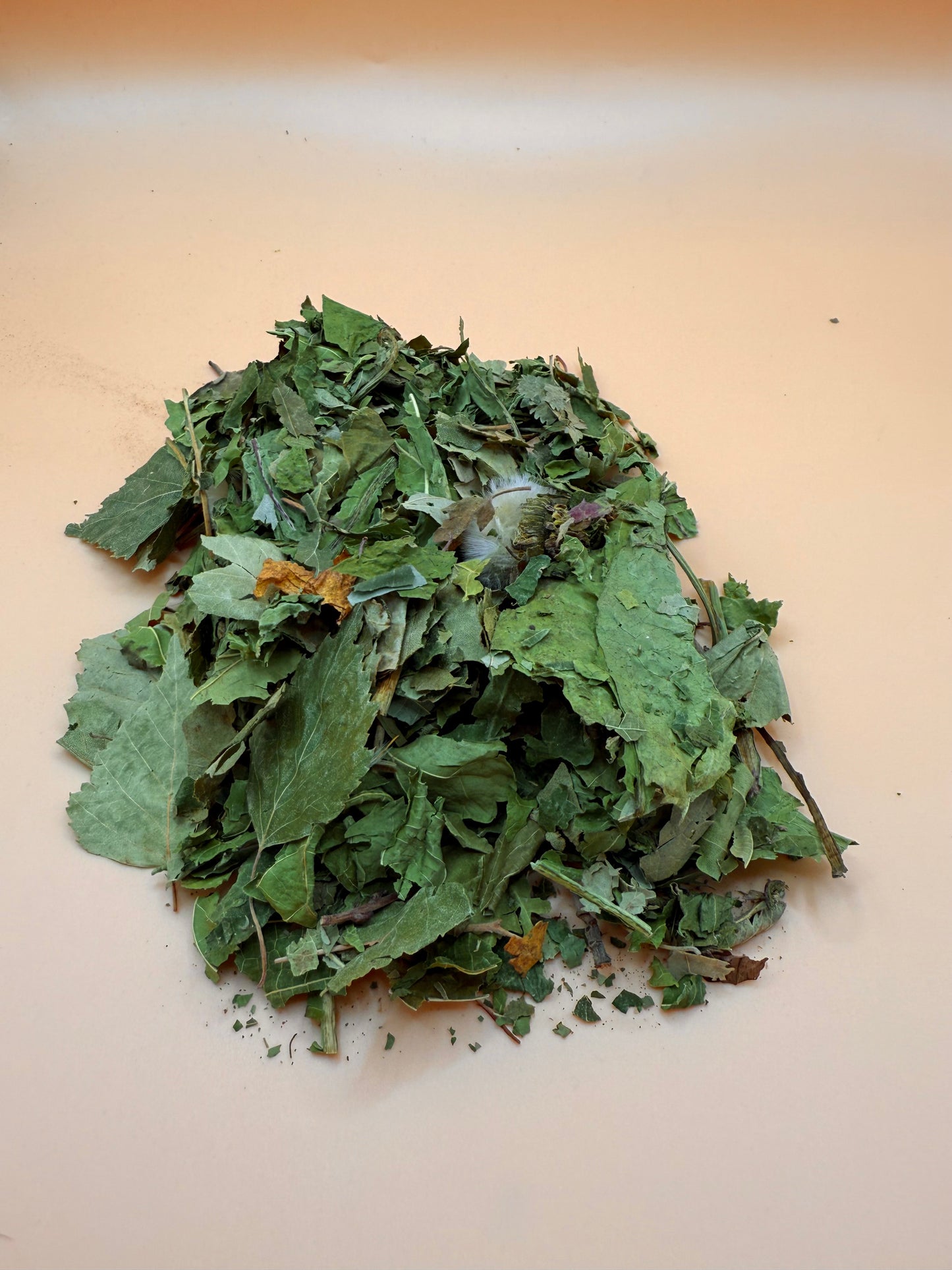 Forest Mix - Reseal