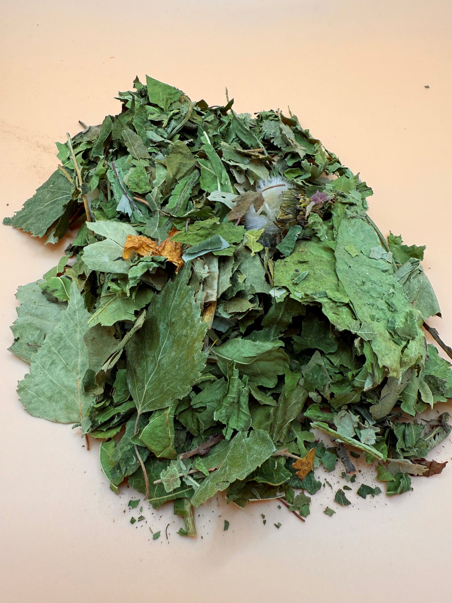 Forest Mix - Reseal