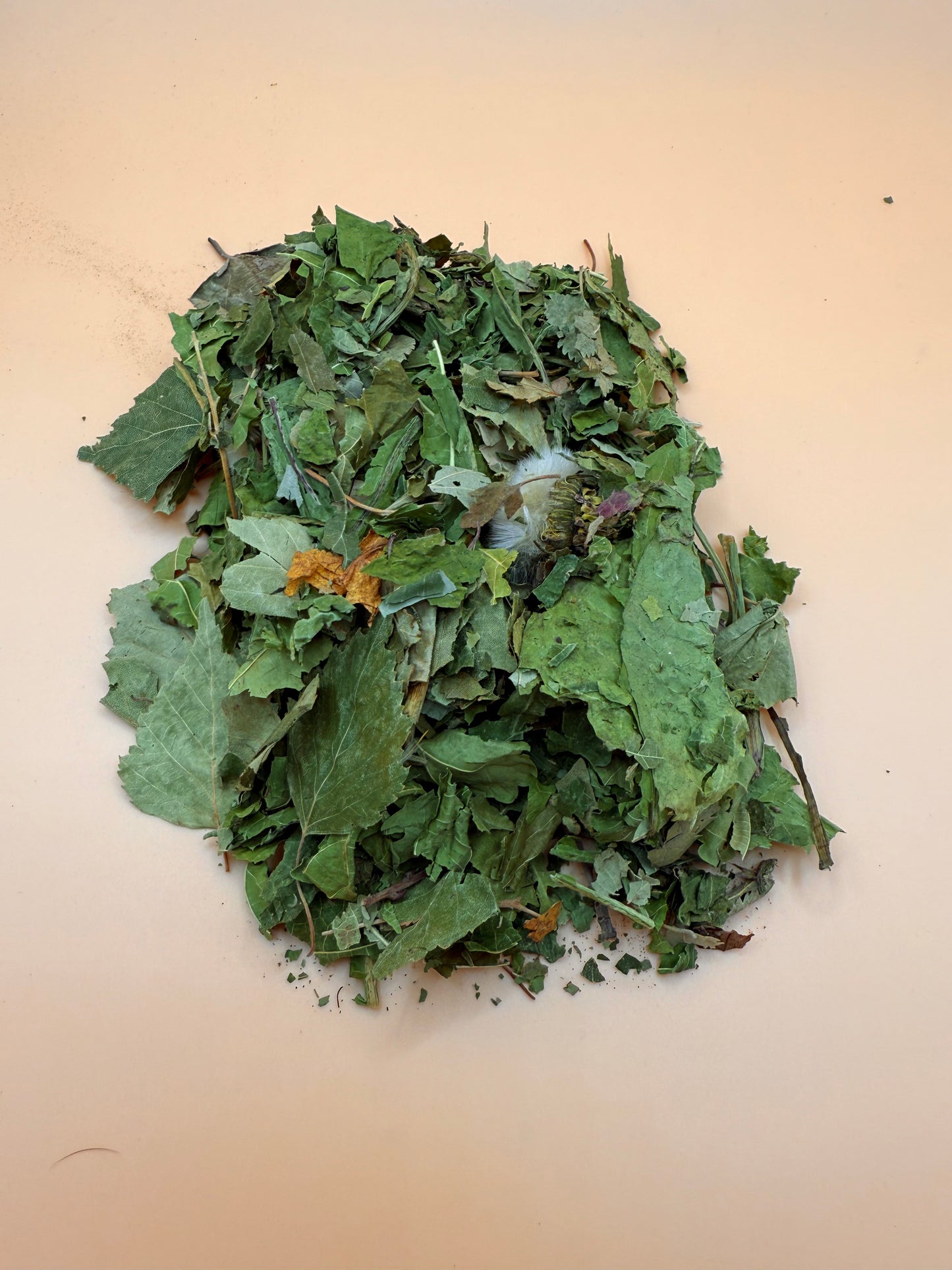 Forest Mix - Reseal