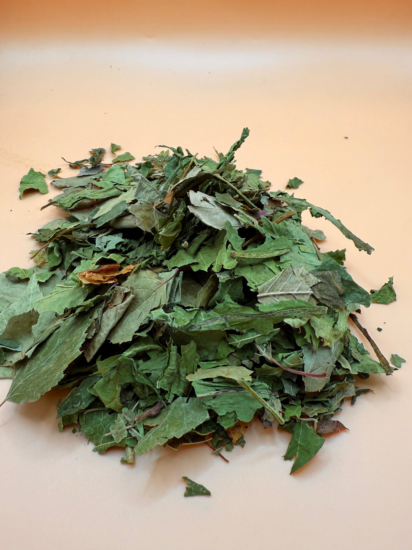 Forest Mix - Reseal
