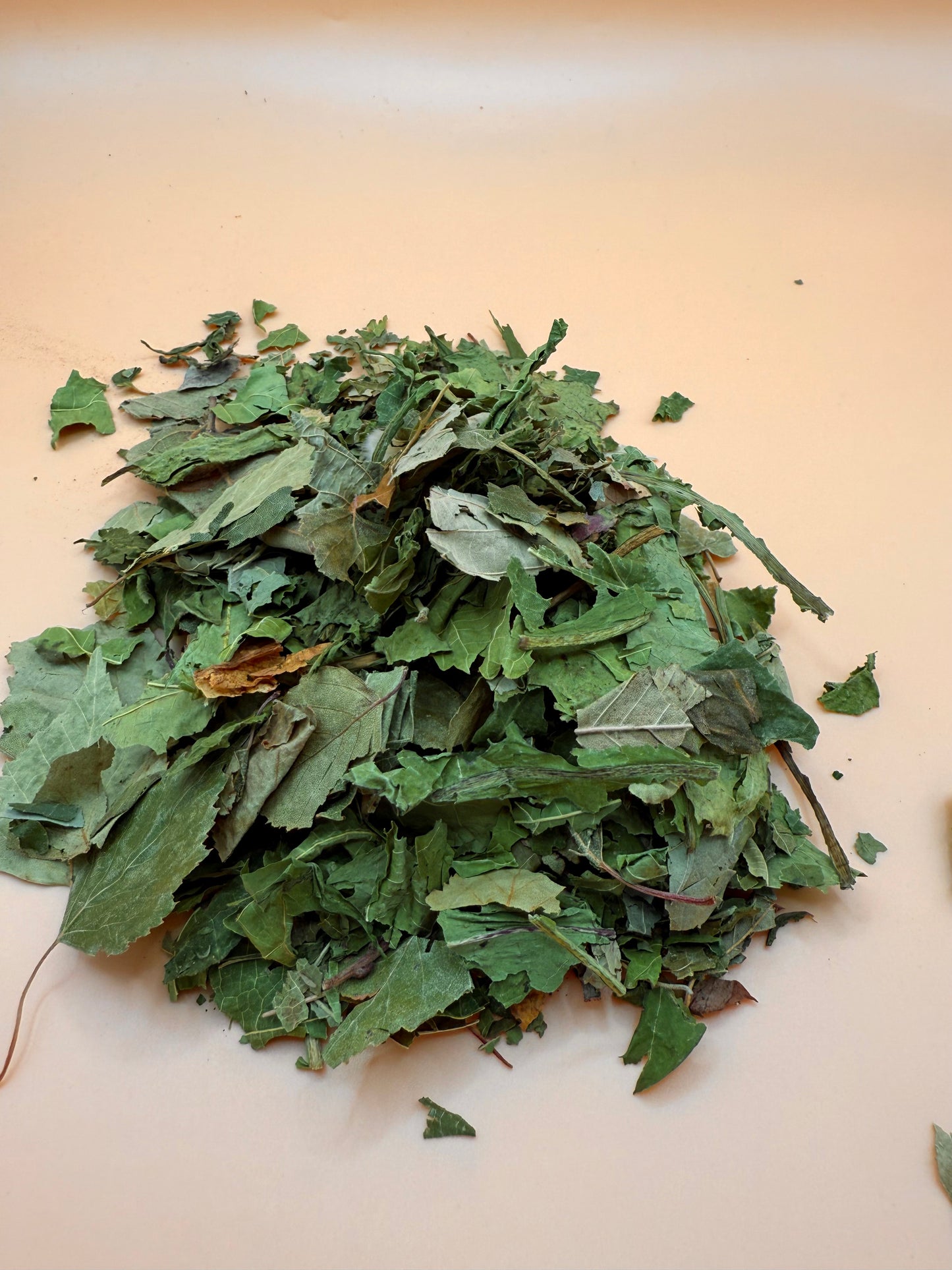 Forest Mix - Reseal