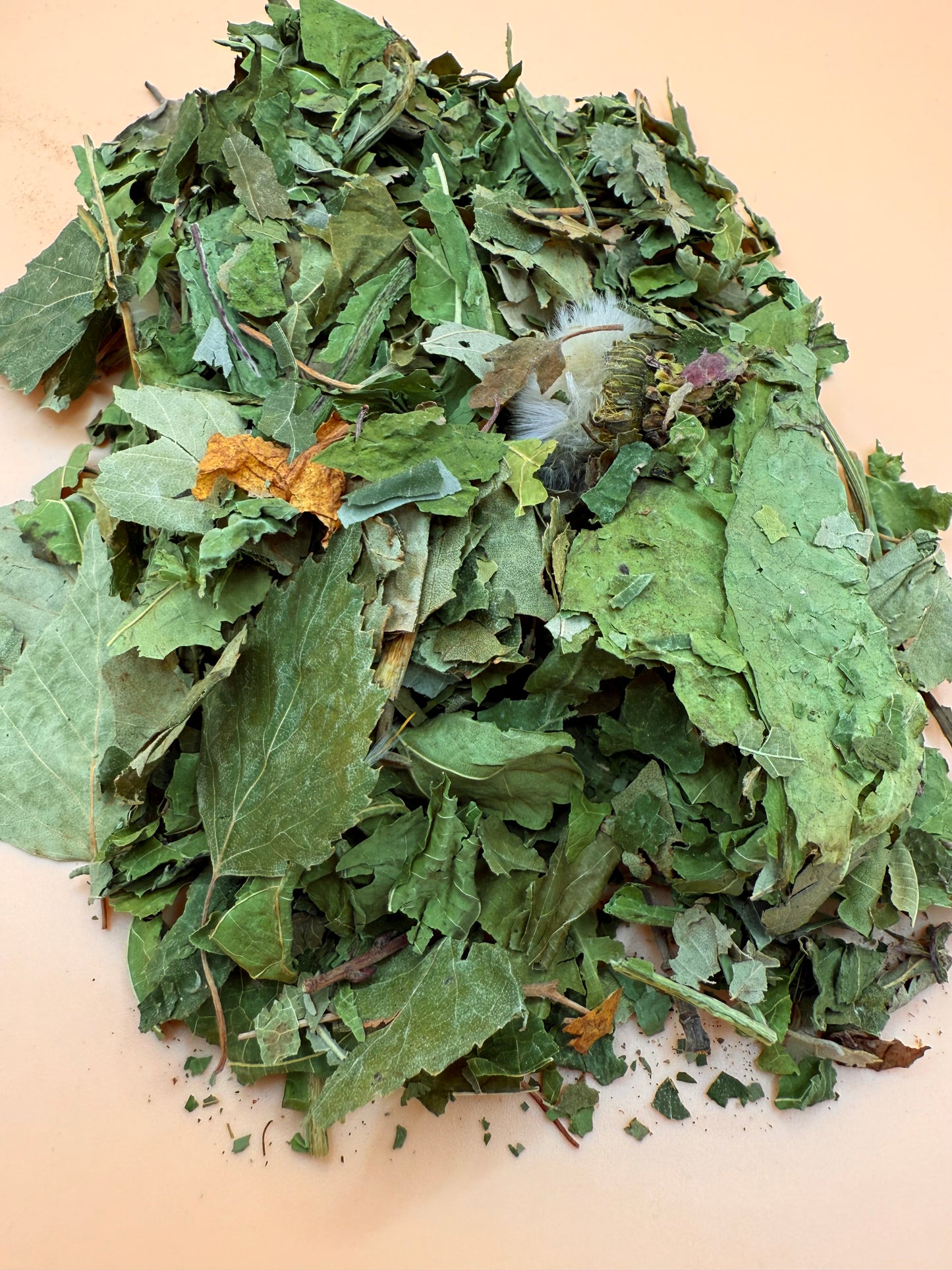 Forest Mix - Reseal
