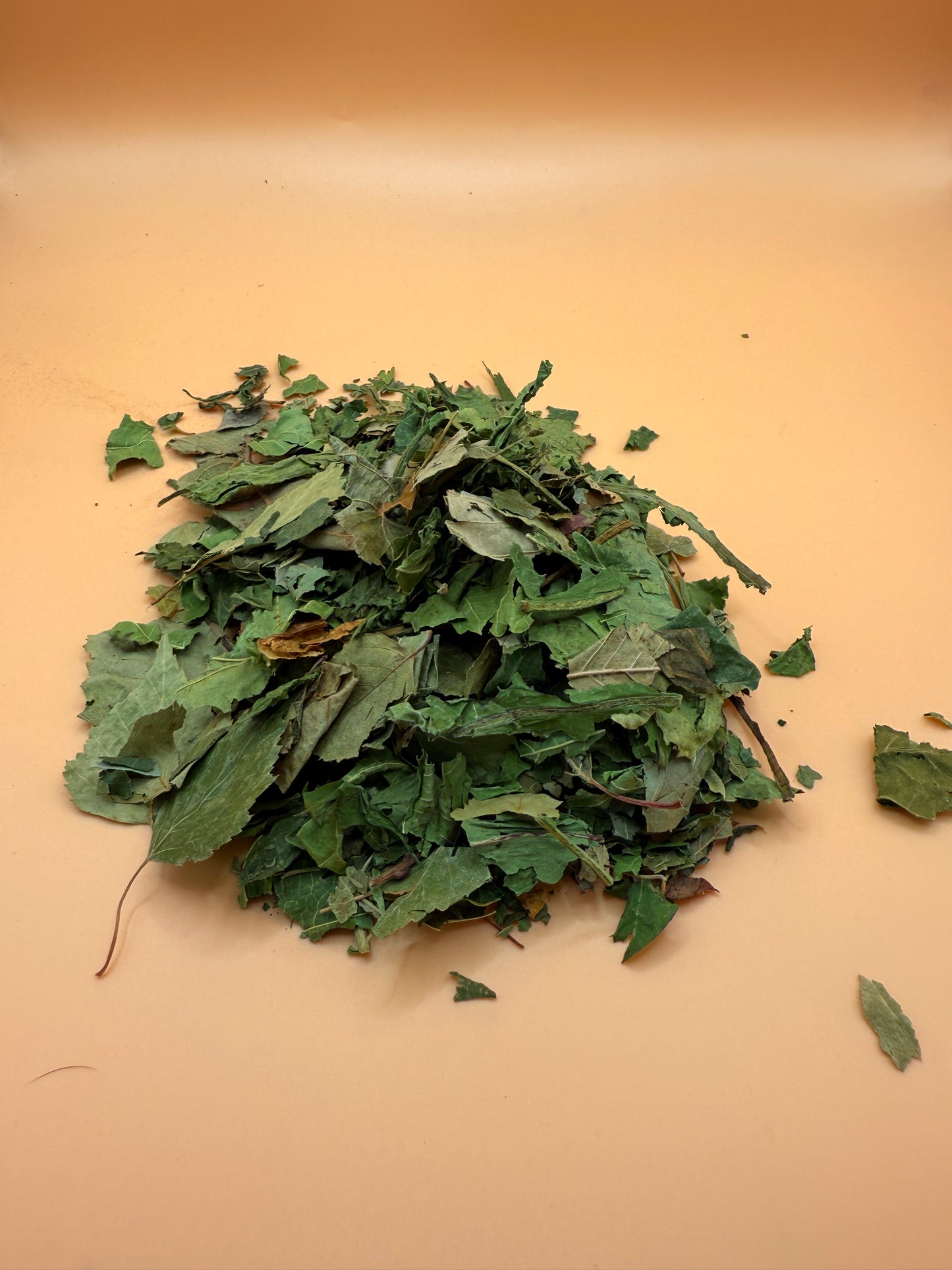 Forest Mix