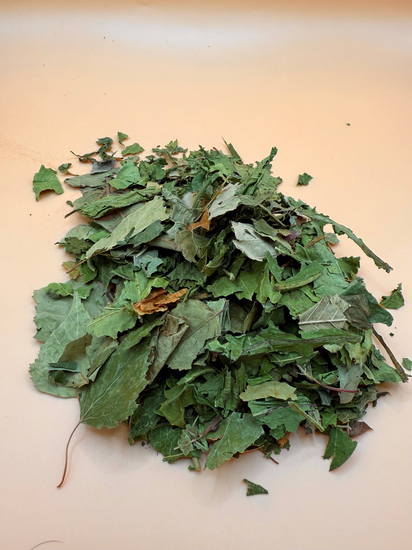 Forest Mix - Reseal