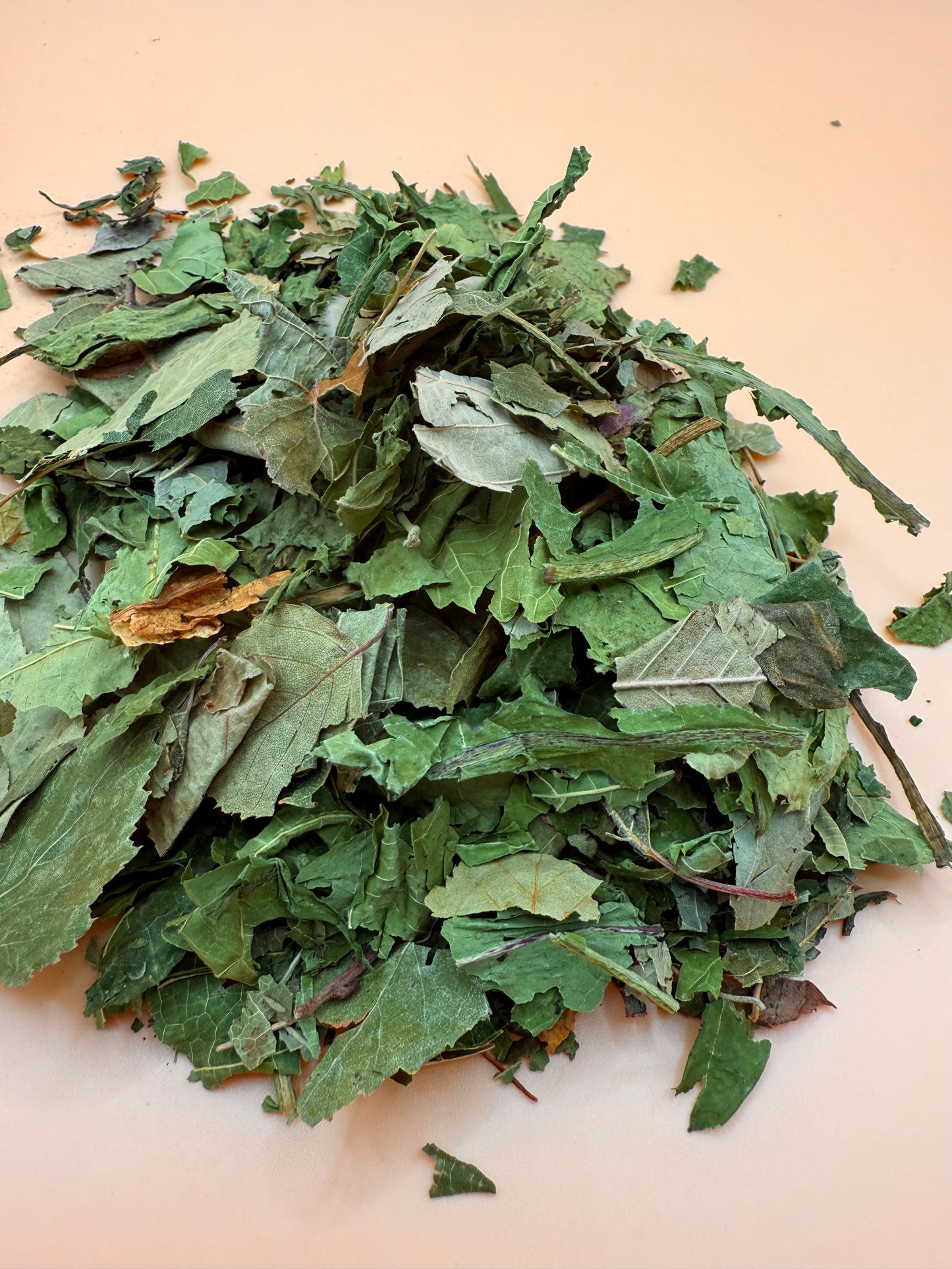 Forest Mix - Reseal